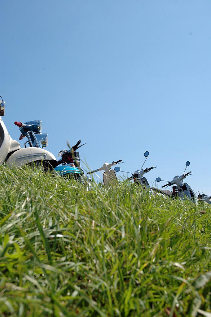 DSC-3151.jpg
