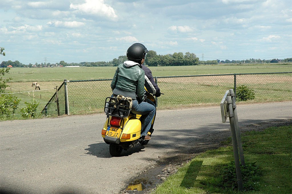 DSC-1125a.jpg