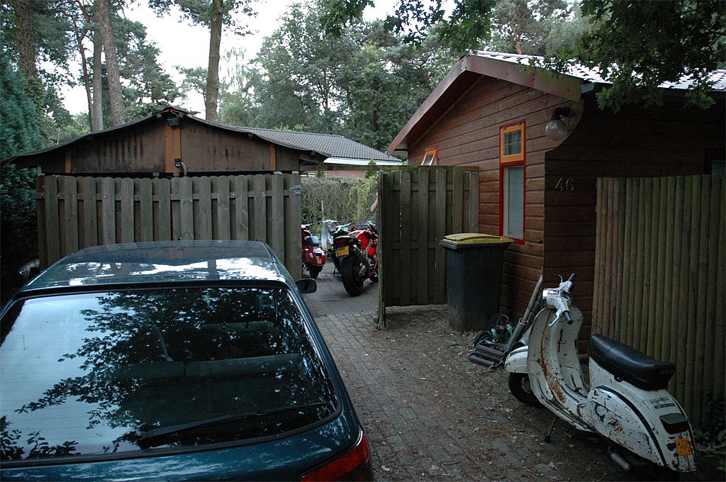 DSC-1105a.jpg